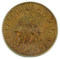 DN "Fasching Antal 1879-1931" egyoldalas, öntött bronz emlékérem szütyőben, magyar nyelvű ismertetővel, hátoldalán "ALTERNATIV 34" gravírozással (65mm) T:AU