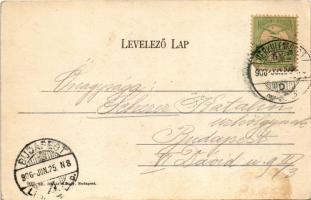 1906 Herkulesfürdő, Baile Herculane; Ferenc József udvar. Divald Károly 902. sz. / Franz-Josef-Hof /...