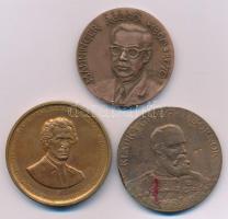 Lapis András (1942-) 1983. "Somogyi Károly 1811-1888 - A róla elnevezett könyvtár avatásának századik évében - Szeged / Fáradságosan és nagy áldozatokkal gyűjtött könyvtáramat Szeged városának ajándék képpen örök tulajdonául felajánlom." kétoldalas bronz emlékérem (42,5mm) + Bozó Gyula (1913-2004) DN "Klapka György Tábornok - A Parancsnoktól / 25. Klapka György Lövész Dandár Tata" kétoldalas bronz emlékérem (42,5mm) + Tóth Sándor (1933-2019) 1978. "Manninger Rezső / Országos Állategészségügyi Intézet 1928-1978" kétoldalas bronz emlékérem (40mm) T:XF-F, egyiken peremhibák, ütődés