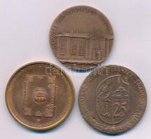 Lapis András (1942-) 1983. "Somogyi Károly 1811-1888 - A róla elnevezett könyvtár avatásának sz...