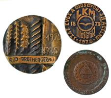 1979. "Száz éves a Diósgyőri SM Acélmű - LKM 1879" egyoldalas bronz emlékérem (61,5mm) + 1985. "Rúd - Dróthengermű 1975-1985" egyoldalas, öntött bronz emlékérem (85mm) + DN "Törzsgárda - Finomszerelvénygyár Hűségért - 20" egyoldalas bronz emlékérem (65mm) T:XF,VF, patina