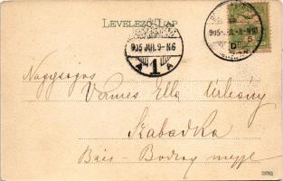 1905 Herkulesfürdő, Baile Herculane; Széchenyi rét / Széchenyi-Wiese / meadow (EK)