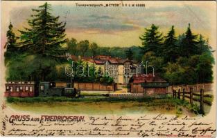 1899 Friedrichsruh, Transparentpostk. Meteor / locomotive. litho (Rb)