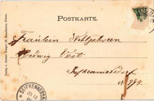 Zittau, Petri- und Paulikirche / church. Gustav Renger Art Nouveau, floral, litho frame (Rb)