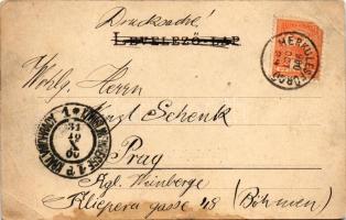 1900 Herkulesfürdő, Baile Herculane; fürdő látképe. Rajta Krizsány Vilmos (Wilh. Krizsány) herkulesf...