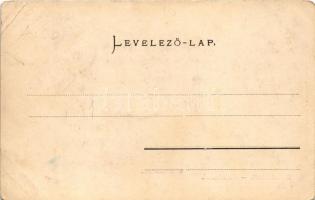 Herkulesfürdő, Baile Herculane; Erzsébet nyaraló. Müller Testvérek kiadása / Villa Elisabeth (EB)