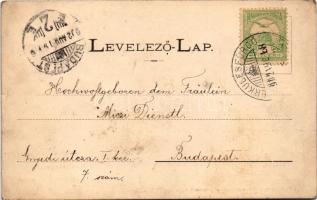 1902 Herkulesfürdő, Baile Herculane; Erzsébet nyaraló. R. Krizsány kiadása / Villa Elisabeth (kis sz...