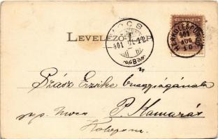 1901 Herkulesfürdő, Baile Herculane; Lívia nyaraló / Villa Livia (kopott sarkak / worn corners)