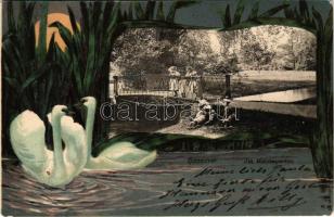 1900 Hannover, Im Welfengarten / garden. floral, litho frame with swans (EK)