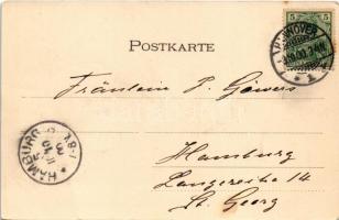 1900 Hannover, Im Welfengarten / garden. floral, litho frame with swans (EK)