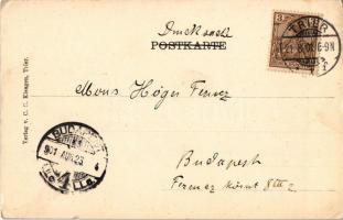 1901 Trier, Kaiserdenkmal. Verlag C. C. Kiesgen / monument. montage with horseshoe and clovers. flor...