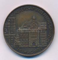 Tóth Sándor (1933-2019) 1985. "425 éves a Földes Ferenc Gimnázium, Miskolc 1985" kétoldalas bronz emlékérem (42,5mm) T:XF