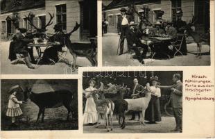 1909 München, Munich; Hirschfütterungen, Partie aus dem Hirschgarten in Nymphenburg. Ludwig Zrenner / deer garden, zoo