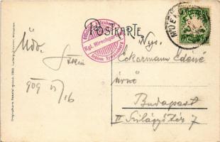 1909 München, Munich; Hirschfütterungen, Partie aus dem Hirschgarten in Nymphenburg. Ludwig Zrenner ...