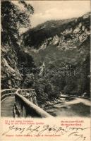 1903 Herkulesfürdő, Baile Herculane; Út a hét meleg forráshoz. Fenyves Oszkár kiadása / Weg zu den sieben heissen Quellen / road to the mineral springs