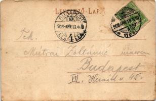 1908 Herkulesfürdő, Baile Herculane; Villanytelep. R. Krizsány kiadása / Elektrische Betriebsanlage ...