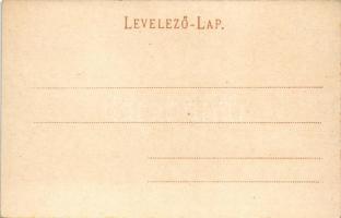 Herkulesfürdő, Baile Herculane; Villanytelep. R. Krizsány kiadása / Elektrische Betriebsanlage / ele...