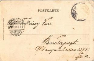 1900 Karlsruhe, Schloss. Knackstedt &amp; Näther / castle. Art Nouveau, floral, litho frame (EB)