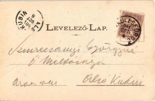 1901 Herkulesfürdő, Baile Herculane; Villanytelep / Electrische Anlage / electric power plant, power...