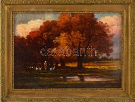 Olvashatatlan jelzéssel: Libapásztorlány. Olaj, karton. Kissé vetemedett. Dekoratív, kissé sérült fakeretben. 24,5×34,5 cm