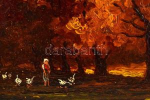 Olvashatatlan jelzéssel: Libapásztorlány. Olaj, karton. Kissé vetemedett. Dekoratív, kissé sérült fa...