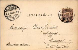 1902 Hortobágy, juhnyáj, magyar folklór. Telegdi K. Lajos utóda kiadása. Haranghy Gy. amateur felvét...