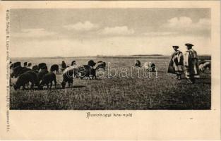 Hortobágy, kosnyáj, magyar folklór. Telegdi K. Lajos utóda kiadása. Haranghy Gy. amateur felvétele