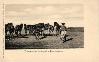 Hortobágy, pányvavetés (lófogás) a Hortobágyon, magyar folklór. Telegdi K. Lajos utóda kiadása. Haranghy Gy. amateur felvétele