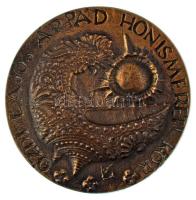 DN "Lajos Árpád 1911-1976 / Ózdi Lajos Honismereti Kör" kétoldalas, öntött bronz emlékérem...