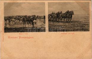 Hortobágy, Ménes a vízen, Debreczeni ötösfogat. Pongrácz Géza kiadása (EB)