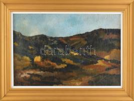 Jeges jelzéssel: Táj. Olaj, karton. Kissé sérült. Dekoratív fakeretben. 29×49 cm