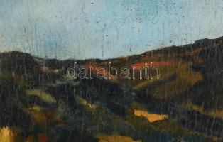 Jeges jelzéssel: Táj. Olaj, karton. Kissé sérült. Dekoratív fakeretben. 29×49 cm