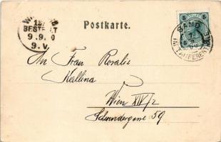 1900 Sesto, Sexten (Südtirol); Moos. Stengel &amp; Co. 2798. / general view (EK)