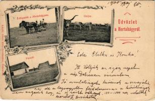 1900 Hortobágy, Látogatók a Hortobágyon, gulya, vasaló. László Albert kiadása, szecessziós-virágos keret. Art Nouveau, floral (Rb)