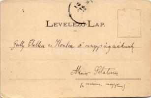 1900 Hortobágy, Látogatók a Hortobágyon, gulya, vasaló. László Albert kiadása, szecessziós-virágos k...