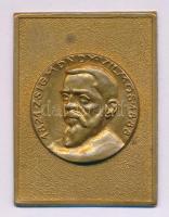 DN "Zsigmondy Vilmos 1821-1888" egyoldalas bronz lemezplakett (30x41mm) T:XF, patina