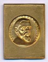 DN "Zsigmondy Vilmos 1821-1888" egyoldalas bronz lemezplakett (30x41mm) T:XF, patina