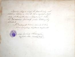 [Oklevél] Nagybányai vitéz Horthy Miklós kormányzó és gróf Károlyi Gyula miniszterelnök saját kezű a...