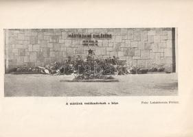 Tihanyi Ernő: 
Váci mártírok, váci hóhérok 1919-ben.
Vác, 1963. (Szerző - Pest megyei Nyomda). 31 ...