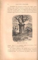 Kreitner Gusztáv: 
Gróf Széchenyi Béla keleti utazása India, Japan, China, Tibet és Birma országokb...