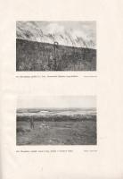 Jávorka Sándor - Csapody Vera: A magyar flóra képekben. Iconographia florae Hungaricae. 40 színes tá...