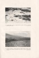 Jávorka Sándor - Csapody Vera: A magyar flóra képekben. Iconographia florae Hungaricae. 40 színes tá...