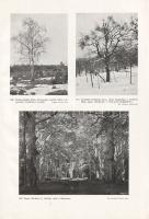 Jávorka Sándor - Csapody Vera: A magyar flóra képekben. Iconographia florae Hungaricae. 40 színes tá...