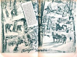 [Folyóirat] Képes Tábori Újság. Képes hetilap. Szerkeszti Kóródy Béla és Csizmarek J. Mátyás. III. é...