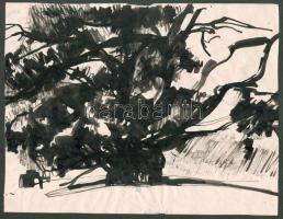 Somlai Vilma (1938-2007): Tájrészlet. Tus, papír, a hátoldalán a művész pecsétjével, lapszéli kisebb szakadással, 21×27 cm