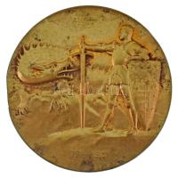 Osztrák-Magyar Monarchia 1915. "Conrad von Hötzendorf / 1914-1915" kétoldalas bronz emléké...