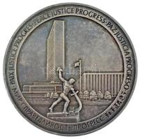 Kanada / Rexdale 1970. "Az Egyesült Nemzetek Szervezete 25. évfordulója 1945-1970" kétoldalas Ag emlékérem (158,22/0.925/63,5mm) T:XF, patina / Canada / Rexdale 1970. "United Nations 25th Anniversary 1945-1970" two-sided Ag commemorative medallion (158,22/0.925/63,5mm) C:XF, patina