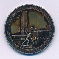 Amerikai Egyesült Államok / Pennsylvania 1970. "Az Egyesült Nemzetek Szervezete 25. évfordulója 1945-1970" kétoldalas Ag emlékérem (14,47/0.925/32mm) T:XF, patina USA / Pennsylvania 1970. "United Nations 25th Anniversary 1945-1970" two-sided Ag commemorative medallion (14,47/0.925/32mm) C:XF, patina