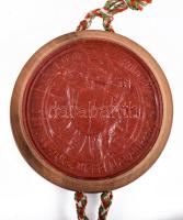 1913 Kolozsvár, a Kolozsvári M. Kir. Ferenc József Tudományegyetem által kiállított jogi doktori dip...