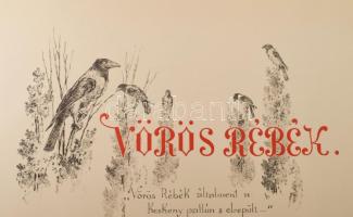 Arany balladái Zichy Mihály rajzaival IV. köt. [Címlapon: Arany János Kilencz balladája. Zichy Mihál...